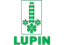 Lupin